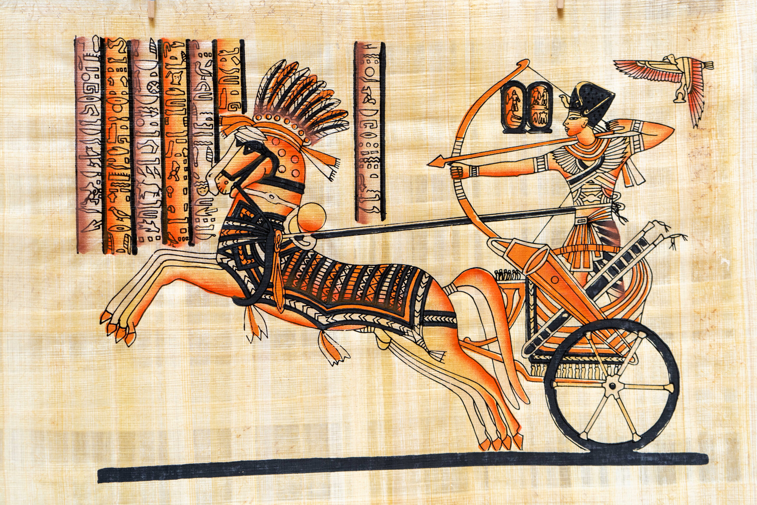 Papyrus - Image 22